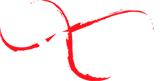 XPN-Logo-White-3x small